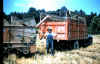 Roger Weir Harvesting wheat in  1957-58 Image19.jpg (1205883 bytes)